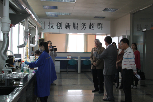新春受访倍感温暖,政企共谱发展蓝图